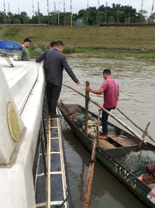 南溪區開展國慶節前漁船安全生產專項檢查，確保畜牧漁業飼料銷售與漁業生產安全
