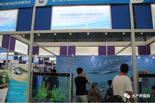 近500家水產產業鏈企業齊聚合肥漁博會，現場亮點紛呈，行業盛事引領產業新方向